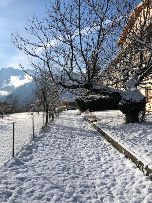 Appartement Rez De Jardin Montee De L'Alpe D'Huez La Garde  Bagian luar foto