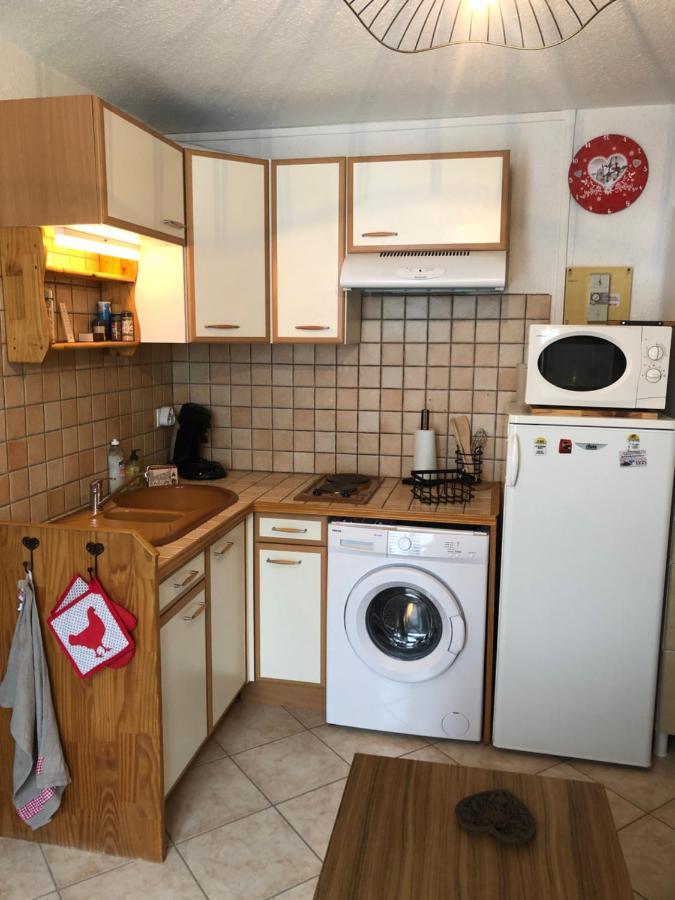 Appartement Rez De Jardin Montee De L'Alpe D'Huez La Garde  Bagian luar foto