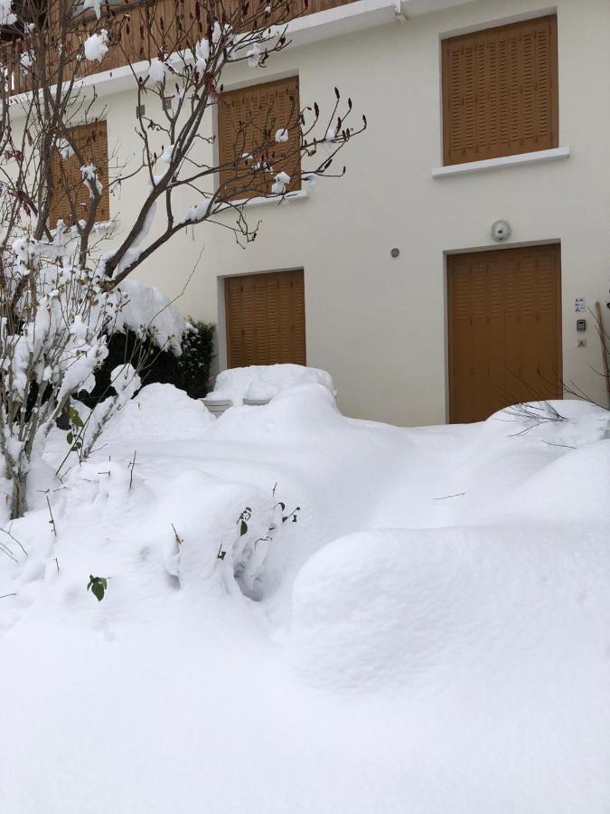 Appartement Rez De Jardin Montee De L'Alpe D'Huez La Garde  Bagian luar foto