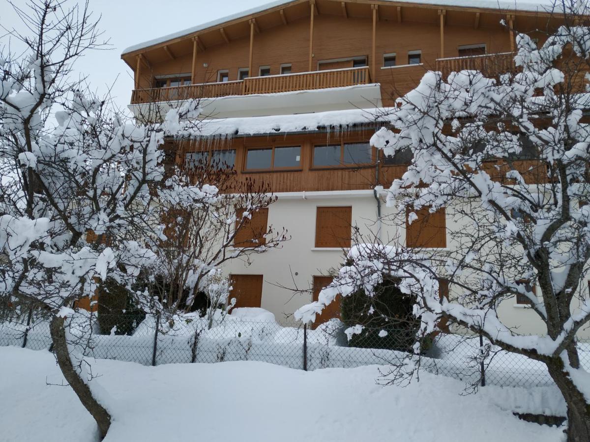 Appartement Rez De Jardin Montee De L'Alpe D'Huez La Garde  Bagian luar foto
